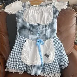 Wizard Of Oz | Other | California Costumes Storybook Sweetheart Costume ...